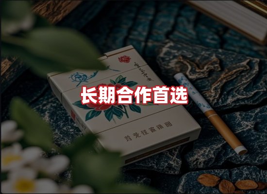 专业团队